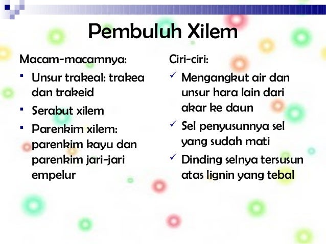 Biologi Swandewi