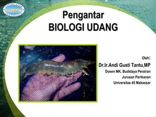Pengantar
BIOLOGI UDANG
Oleh:

Dr.Ir.Andi Gusti Tantu,MP
Dosen MK. Budidaya Perairan
Jurusan Perikanan
Universitas 45 Makassar

 