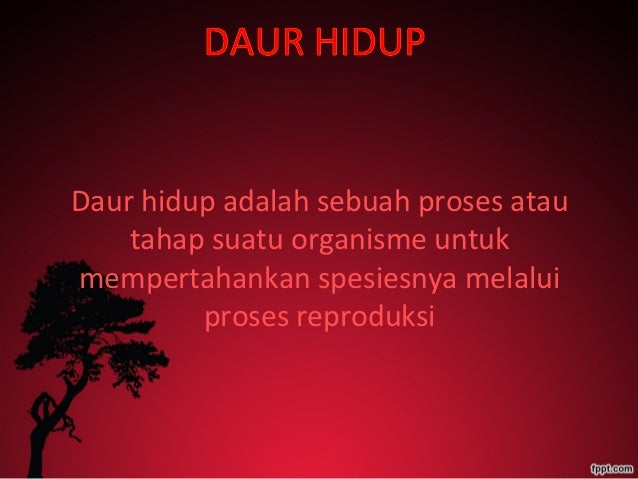 Proses reproduksi, Pertumbuhan, dan Perkembangan Makhluk Hidup