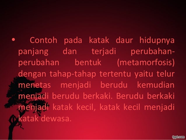 Proses reproduksi, Pertumbuhan, dan Perkembangan Makhluk Hidup