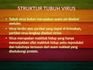Virus | PDF