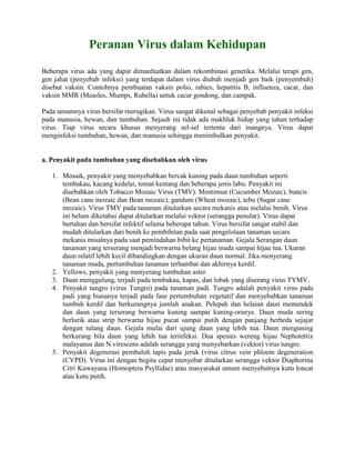 Peranan Virus dalam Kehidupan
Beberapa virus ada yang dapat dimanfaatkan dalam rekombinasi genetika. Melalui terapi gen,
gen jahat (penyebab infeksi) yang terdapat dalam virus diubah menjadi gen baik (penyembuh)
disebut vaksin. Contohnya pembuatan vaksin polio, rabies, hepatitis B, influenza, cacar, dan
vaksin MMR (Measles, Mumps, Rubella) untuk cacar gondong, dan campak.
Pada umumnya virus bersifat rnerugikan. Virus sangat dikenal sebagai penyebab penyakit infeksi
pada manusia, hewan, dan tumbuhan. Sejauh ini tidak ada makhluk hidup yang tahan terhadap
virus. Tiap virus secara khusus menyerang sel-sel tertentu dari inangnya. Virus dapat
menginfeksi tumbuhan, hewan, dan manusia sehingga menimbulkan penyakit.
a. Penyakit pada tumbuhan yang disebabkan oleh virus
1. Mosaik, penyakit yang menyebabkan bercak kuning pada daun tumbuhan seperti
tembakau, kacang kedelai, tomat kentang dan beberapa jenis labu. Penyakit ini
disebabkan oleh Tobacco Mozaic Virus (TMV). Mentimun (Cucumber Mozaic), buncis
(Bean cane mozaic dan Bean mozaic), gandum (Wheat mozaic), tebu (Sugar cane
mozaic). Virus TMV pada tanaman ditularkan secara mekanis atau melalui benih. Virus
ini belum diketahui dapat ditularkan melalui vektor (serangga penular). Virus dapat
bertahan dan bersifat infektif selama beberapa tahun. Virus bersifat sangat stabil dan
mudah ditularkan dari benih ke pembibitan pada saat pengelolaan tanaman secara
mekanis misalnya pada saat pemindahan bibit ke pertanaman. Gejala Serangan daun
tanaman yang terserang menjadi berwarna belang hijau muda sampai hijau tua. Ukuran
daun relatif lebih kecil dibandingkan dengan ukuran daun normal. Jika menyerang
tanaman muda, pertumbuhan tanaman terhambat dan akhirnya kerdil.
2. Yellows, penyakit yang menyerang tumbuhan aster.
3. Daun menggulung, terjadi pada tembakau, kapas, dan lobak yang diserang virus TYMV.
4. Penyakit tungro (virus Tungro) pada tanaman padi. Tungro adalah penyakit virus pada
padi yang biasanya terjadi pada fase pertumbuhan vegetatif dan menyebabkan tanaman
tumbuh kerdil dan berkurangnya jumlah anakan. Pelepah dan helaian daun memendek
dan daun yang terserang berwarna kuning sampai kuning-oranye. Daun muda sering
berlurik atau strip berwarna hijau pucat sampai putih dengan panjang berbeda sejajar
dengan tulang daun. Gejala mulai dari ujung daun yang lebih tua. Daun menguning
berkurang bila daun yang lebih tua terinfeksi. Dua spesies wereng hijau Nephotettix
malayanus dan N.virescens adalah serangga yang menyebarkan (vektor) virus tungro.
5. Penyakit degenerasi pembuluh tapis pada jeruk (virus citrus vein phloem degeneration
(CVPD). Virus ini dengan begitu cepat menyebar ditularkan serangga vektor Diaphorina
Citri Kuwayana (Homoptera Psyllidae) atau masyarakat umum menyebutnya kutu loncat
atau kutu putih.
 