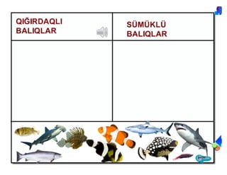Balıqlar mövzusuna aid ümumiləşdirici dərs | PDF