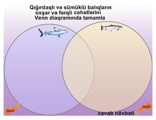 Balıqlar mövzusuna aid ümumiləşdirici dərs | PDF