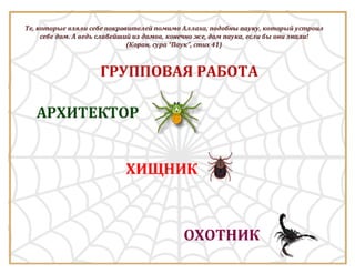 Класс Паукообразные