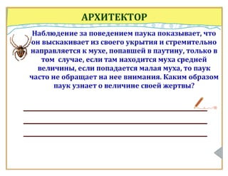 Класс Паукообразные