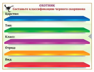 Класс Паукообразные