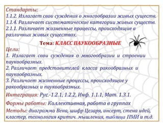 Класс Паукообразные