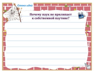 Класс Паукообразные