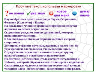 Класс Паукообразные