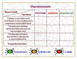Класс Паукообразные