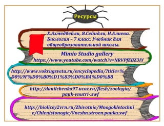 Класс Паукообразные