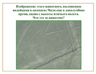 Класс Паукообразные