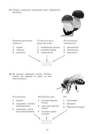 14
48.	 Укажіть правильні твердження щодо зображеного
	 організму.
	
1	 продуцентів
2	 консументів
3	 редуцентів
В екосистемах
належить до
У клітинах цього
організму немає
Резервною речовиною
клітини є
1	 мембранних органел
2	 клітинної стінки
3	 хлоропластів
1	 муреїн
2	 глікоген
3	 крохмаль
49.	 На рисунку зображено комаху. Укажіть
	 ознаки цієї тварини та групу, до якої
	 вона належить.
	
1	 Лускокрилі
2	 Двокрилі
3	 Перетинчастокрилі
РядОсобливість крилТип розвитку
1	 дві пари перетин-
	 частих
2	 одна пара перетин-
	 частих
3	 дві пари, укриті
	 лусками
1	 прямий
2	 непрямий, з повним
	 перетворенням
3	 непрямий, з непов-
	 ним перетворенням
 