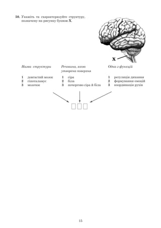 15
50.	 Укажіть та схарактеризуйте структуру,
	 позначену на рисунку буквою Х.
	
1	 регуляція дихання
2	 формування емоцій
3	 координація рухів
Одна з функційРечовина, якою
утворена поверхня
Назва структури
1	 сіра
2	 біла
3	 почергово сіра й біла
1	 довгастий мозок
2	 гіпоталамус
3	 мозочок
 