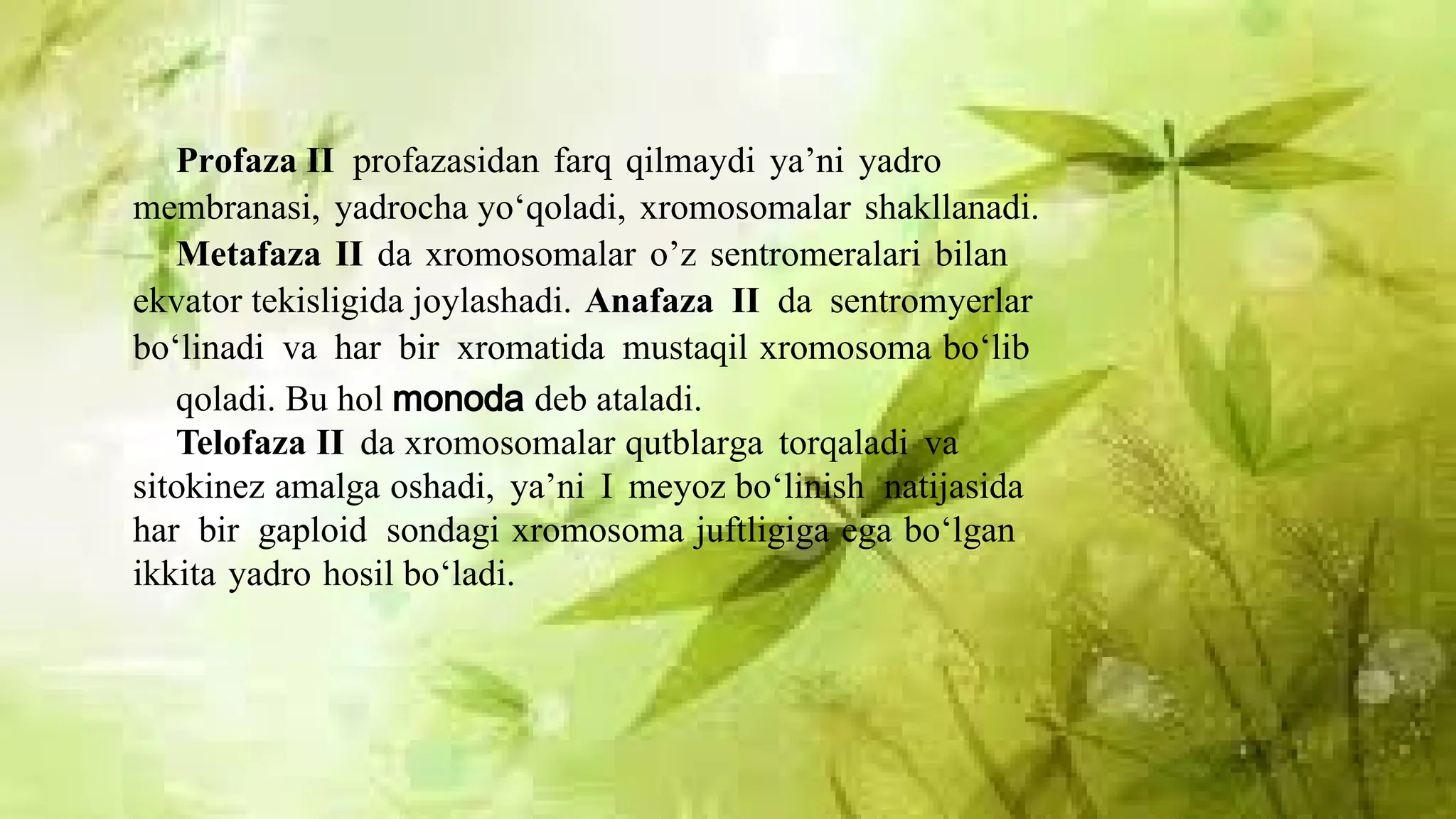 Porno video: Ogil onasini hammomda sikadi Haqiqiy bokira porno videolar