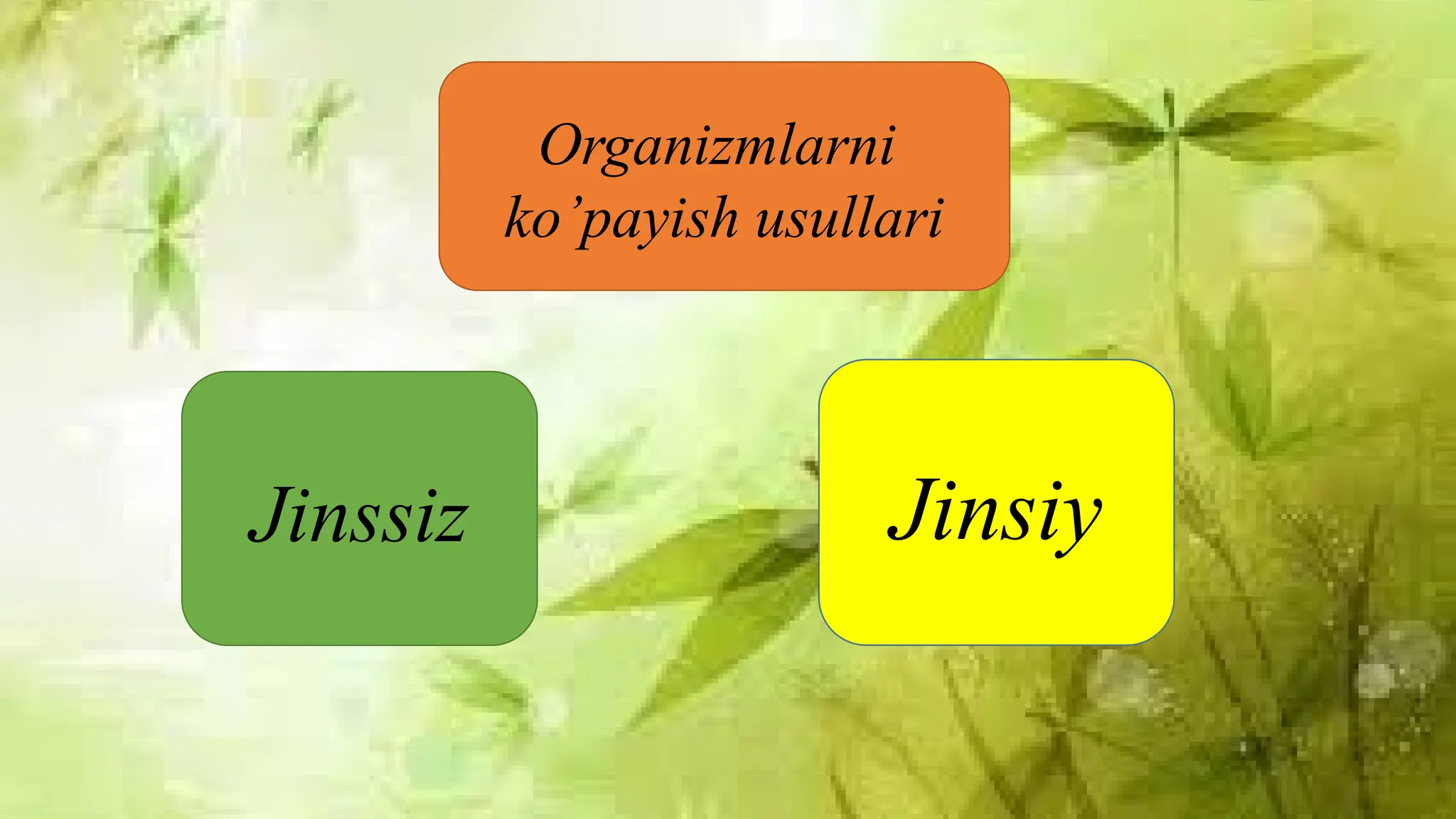 Plajda erotik jinsiy aloqa video Tina Kandelaki sikilyapti