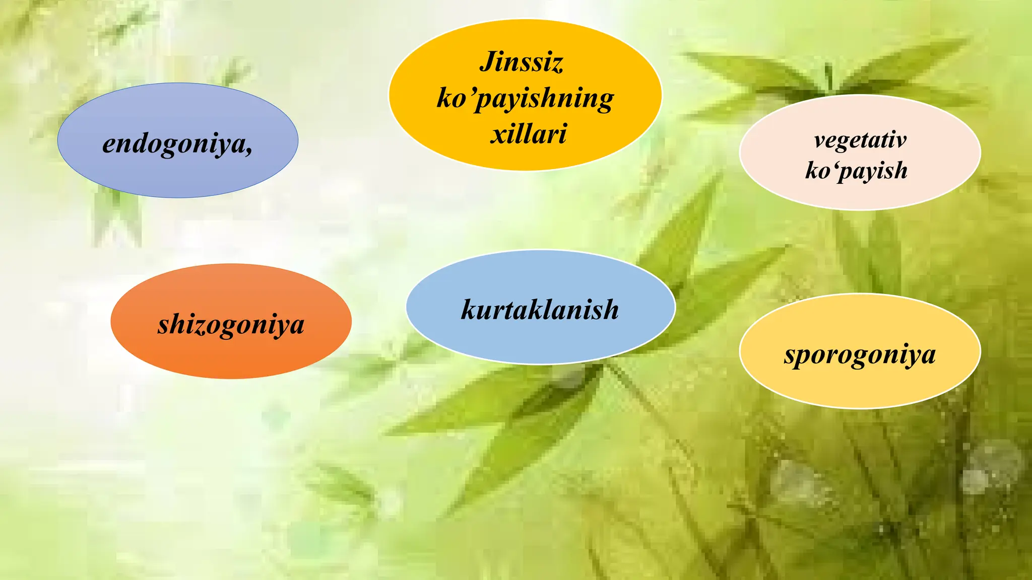 Chiroyli va yovvoyi jinsiy aloqa video Drochilovo.ru porno sayti