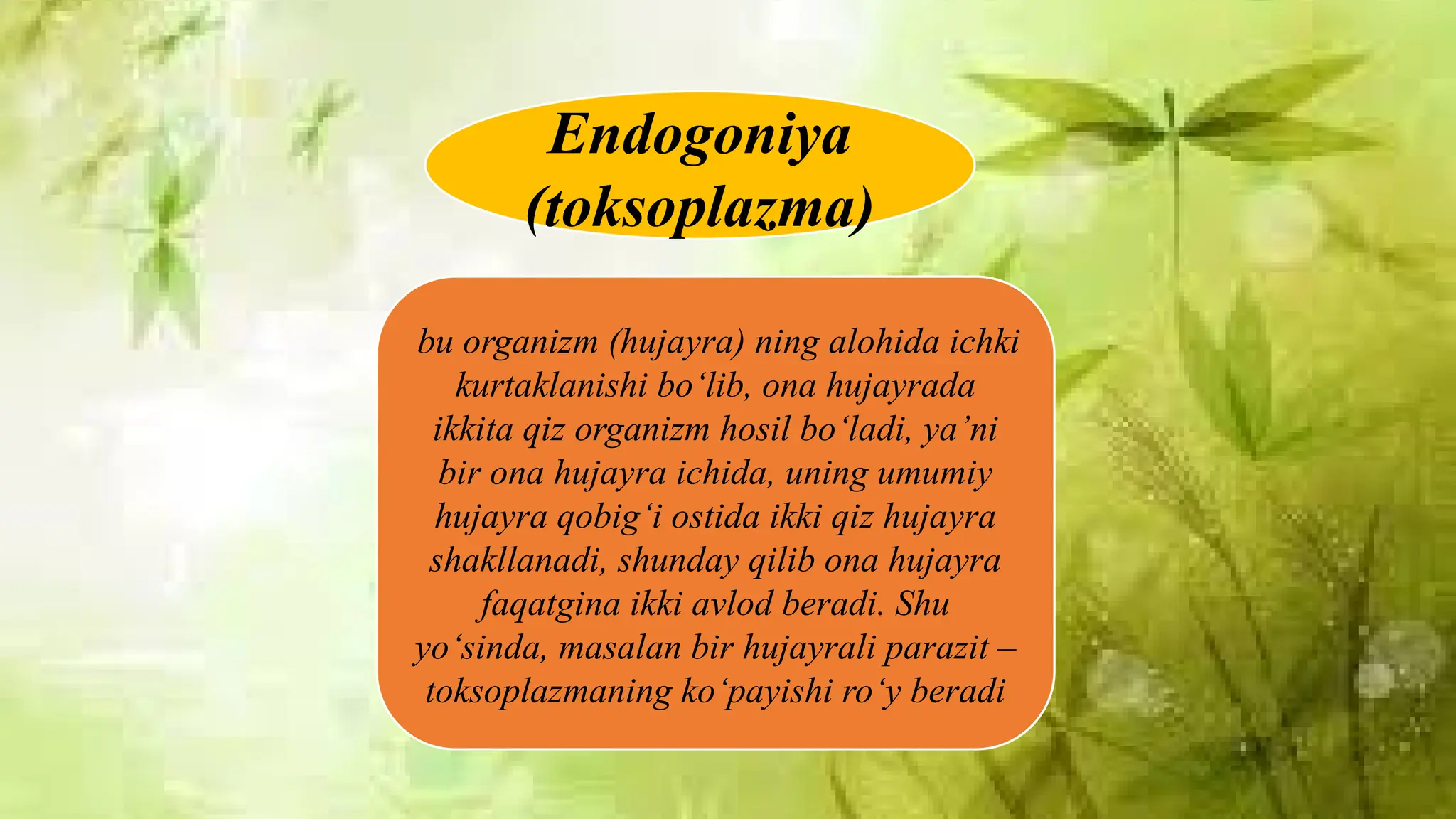 Pul uchun Dik sorish onlayn videolar