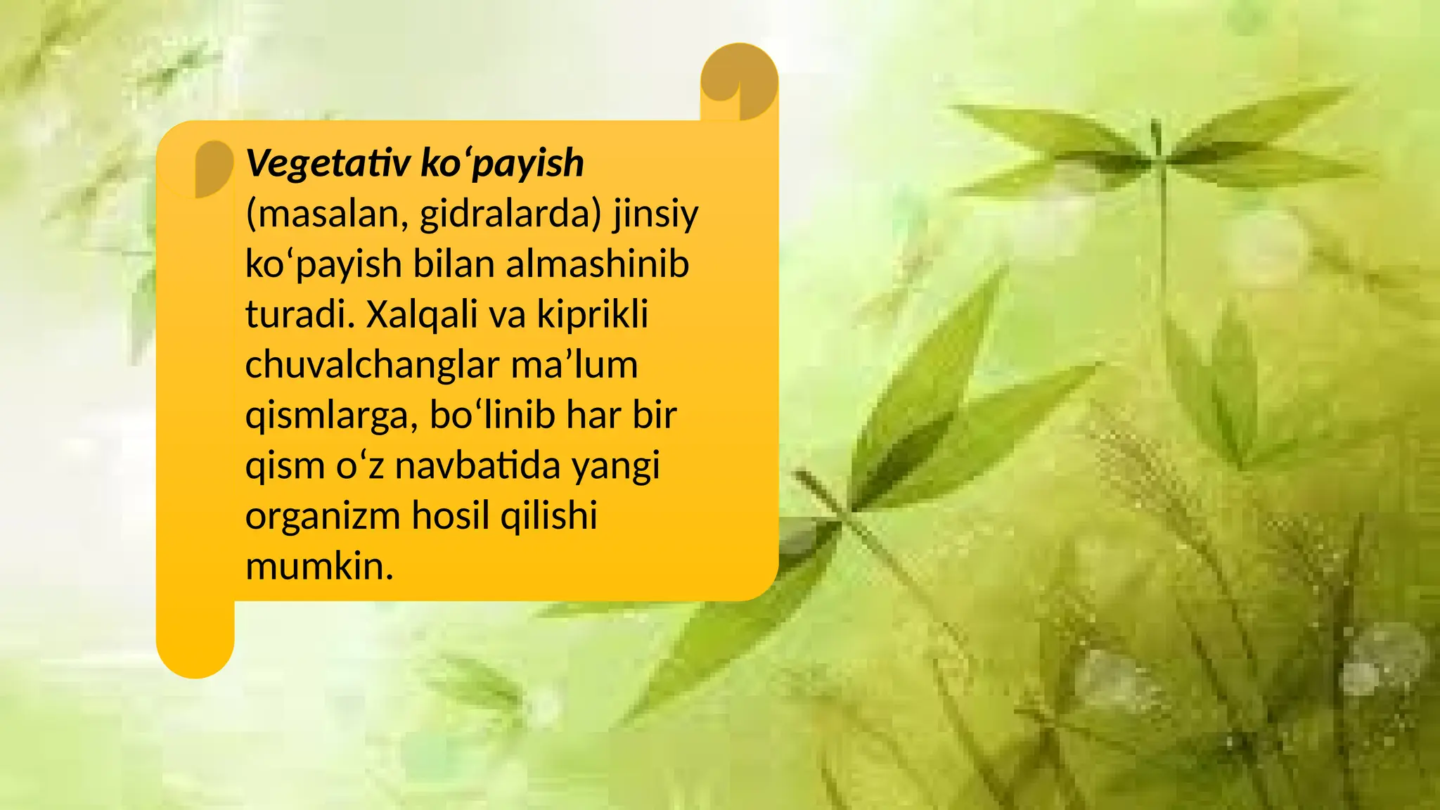 Moskvada soatlik jinsiy aloqa