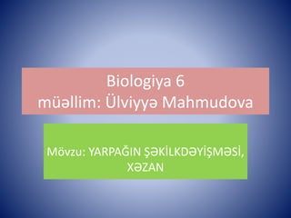 Biologiya 6 
müəllim: Ülviyyə Mahmudova 
Mövzu: YARPAĞIN ŞƏKİLKDƏYİŞMƏSİ, 
XƏZAN 
 