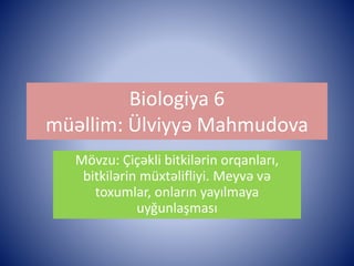 Biologiya 6 
müəllim: Ülviyyə Mahmudova 
Mövzu: Çiçəkli bitkilərin orqanları, 
bitkilərin müxtəlifliyi. Meyvə və 
toxumlar, onların yayılmaya 
uyğunlaşması 
 