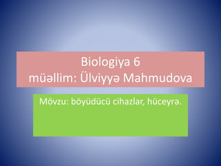 Biologiya 6 
müəllim: Ülviyyə Mahmudova 
Mövzu: böyüdücü cihazlar, hüceyrə. 
 