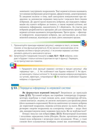 180
зовнішніх і внутрішніх подразників. Такі нервові клітини називають
чутливими (нейронами-рецепторами, аферентними, доцентровими).
Їх завдання полягає в тому, щоб закодувати повідомлення про по-
дразник за допомогою нервових імпульсів і передати його іншим
нейронам. До другої групи відносять нейрони, що передають інфор-
мацію від одного нейрона до іншого, а також нервові клітини, які
оцінюють інформацію, накопичують її і зберігають. За участю цих
нейронів розробляються програми дій для виконавчих органів. Такі
нервові клітини називають інтернейронами. Третя група — ефектор-
ні (еферентні, відцентрові) нейрони, що доставляють до клітин-
мішеней команди, відповідно до яких діють виконавчі органи.
1. Проаналізуйте приклади нервової регуляції, наведені в тексті, за таким
планом: а) яка функція регулюється; б) які органи є виконавчими; в) як
діє нервова система в процесі регуляції; г) як впливи нервової системи
змінюють діяльність виконавчого органа.
2. Запропонуйте товаришеві показати на мал. 52.1 – 52.4 нейрони, скла-
дові їх будови і гліальні клітини й розповісти про їх функції. Перевірте,
чи не припустився він помилок.
1. Продовжте опис функцій нервової системи в процесі регуляції: збір
інформації про …. . 2. Які особливості має будова нейрона? 3. Які функ-
ції виконують гліальні клітини? 4. За якою ознакою нейрони розподіляють
на чутливі, ефекторні, інтернейрони? 5. Як пов’язані особливості будови
нейрона з їх функцією?
§ 53. Передача інформації в нервовій системі
Як формується нервовий імпульс? Звернімося до прикладів
(див. § 52). Чутливий нейрон, що сприймає температуру (терморе-
цептор), перебуває в стані спокою доти, доки температура об’єкта,
з яким контактує людина, не досягне значущого для організму рівня
(його називають пороговим). Коли на закінчення чутливого нейрона
діє пороговий подразник, нервова клітина реагує на нього. Вона пе-
ретворює енергію подразника на електричну енергію — кодує його
дію, використовуючи мову нервових імпульсів. Як це відбувається?
Генерує імпульс сам нейрон (мал. 53.1). Концентрації позитивно
і негативно заряджених іонів (Натрію, Калію, органічних речовин
тощо) поза нейроном і всередині нього неоднакові. Отже, у стані
спокою його плазматична мембрана ззовні має позитивний заряд,
 