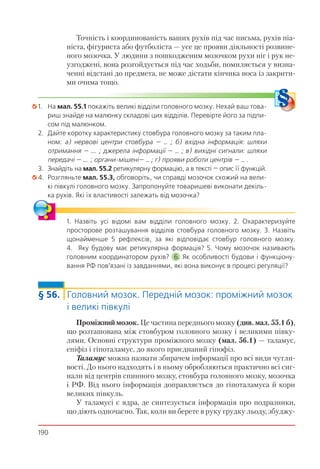 190
Точність і координованість ваших рухів під час письма, рухів піа-
ніста, фігуриста або футболіста — усе це прояви діяльності розвине-
ного мозочка. У людини з пошкодженим мозочком рухи ніг і рук не-
узгоджені, вона розгойдується під час ходьби, помиляється у визна-
ченні відстані до предмета, не може дістати кінчика носа із закрити-
ми очима тощо.
1. На мал. 55.1 покажіть великі відділи головного мозку. Нехай ваш това-
риш знайде на малюнку складові цих відділів. Перевірте його за підпи-
сом під малюнком.
2. Дайте коротку характеристику стовбура головного мозку за таким пла-
ном: а) нервові центри стовбура — … ; б) вхідна інформація: шляхи
отримання — …. ; джерела інформації — … ; в) вихідні сигнали: шляхи
передачі — …. ; органи-мішені— … ; г) прояви роботи центрів — … .
3. Знайдіть на мал. 55.2 ретикулярну формацію, а в тексті — опис її функцій.
4. Розгляньте мал. 55.3, обговоріть, чи справді мозочок схожий на вели-
кі півкулі головного мозку. Запропонуйте товаришеві виконати декіль-
ка рухів. Які їх властивості залежать від мозочка?
1. Назвіть усі відомі вам відділи головного мозку. 2. Охарактеризуйте
просторове розташування відділів стовбура головного мозку. 3. Назвіть
щонайменше 5 рефлексів, за які відповідає стовбур головного мозку.
4. Яку будову має ретикулярна формація? 5. Чому мозочок називають
головним координатором рухів? 6. Як особливості будови і функціону-
вання РФ пов’язані із завданнями, які вона виконує в процесі регуляції?
§ 56. Головний мозок. Передній мозок: проміжний мозок
і великі півкулі
Проміжний мозок. Це частина переднього мозку (див. мал. 55.1 б),
що розташована між стовбуром головного мозку і великими півку-
лями. Основні структури проміжного мозку (мал. 56.1) — таламус,
епіфіз і гіпоталамус, до якого приєднаний гіпофіз.
Таламус можна назвати збирачем інформації про всі види чутли-
вості. До нього надходять і в ньому обробляються практично всі сиг-
нали від центрів спинного мозку, стовбура головного мозку, мозочка
і РФ. Від нього інформація доправляється до гіпоталамуса й кори
великих півкуль.
У таламусі є ядра, де синтезується інформація про подразники,
що діють одночасно. Так, коли ви берете в руку грудку льоду, збуджу-
 