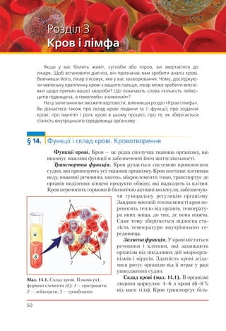 50
Якщо у вас болить живіт, суглоби або горло, ви звертаєтеся до
лікаря. Щоб встановити діагноз, він призначає вам зробити аналіз крові.
Вивчивши його, лікар з’ясовує, яке у вас захворювання. Чому, досліджую-
чи маленьку краплинку крові з вашого пальця, лікар може зробити висно-
вки щодо причин вашої хвороби? Що означають слова «кількість лейко-
цитів підвищена, а гемоглобін знижений»?
На ці запитання ви зможете відповісти, вивчивши розділ «Кров і лімфа».
Ви дізнаєтеся також про склад крові людини та її функції; про зсідання
крові; про імунітет і роль крові в цьому процесі; про те, як зберігається
сталість внутрішнього середовища організму.
§ 14. Функції і склад крові. Кровотворення
Функції крові. Кров — це рідка сполучна тканина організму, що
виконує важливі функції в забезпеченні його життєдіяльності.
Транспортна функція. Кров рухається системою кровоносних
судин, які пронизують усі тканини організму. Кров постачає клітинам
воду, поживні речовини, кисень, мікроелементи тощо, транспортує до
органів виділення кінцеві продукти обміну, які надходять із клітин.
Кров переносить гормони й біологічно активні молекули, забезпечую-
чи гуморальну регуляцію організму.
Завдяки високій теплоємності кров пе-
реносить тепло від органів, температу-
ра яких вища, до тих, де вона нижча.
Саме тому зберігається відносна ста-
лість температури внутрішнього се-
редовища.
Захисна функція. У крові містяться
речовини і клітини, які захищають
організм від шкідливих дій мікроорга-
нізмів і вірусів. Здатність крові зсіда-
тися рятує організм від її втрат у разі
ушкодження судин.
Склад крові (мал. 14.1). В організмі
людини циркулює 4–6 л крові (6–8 %
від маси тіла). Кров транспортує біль-
Розділ 3
Кров і лімфа
Мал. 14.1. Склад крові. Плазма (а),
формені елементи (б): 1 — еритроцити;
2 — лейкоцити; 3 — тромбоцити
a
б
1
32
 