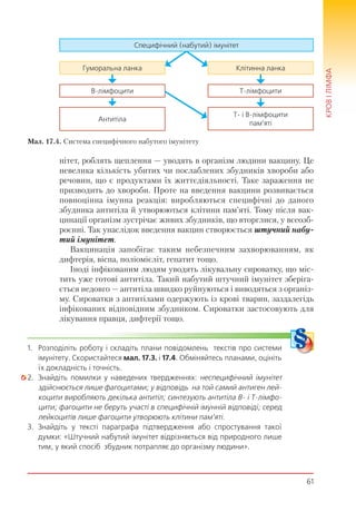 61
КРОВІЛІМФА
нітет, роблять щеплення — уводять в організм людини вакцину. Це
невелика кількість убитих чи послаблених збудників хвороби або
речовин, що є продуктами їх життєдіяльності. Таке зараження не
призводить до хвороби. Проте на введення вакцини розвивається
повноцінна імунна реакція: виробляються специфічні до даного
збудника антитіла й утворюються клітини пам’яті. Тому після вак-
цинації організм зустрічає живих збудників, що вторглися, у всеозб-
роєнні. Так унаслідок введення вакцин створюється штучний набу-
тий імунітет.
Вакцинація запобігає таким небезпечним захворюванням, як
дифтерія, віспа, поліомієліт, гепатит тощо.
Іноді інфікованим людям уводять лікувальну сироватку, що міс-
тить уже готові антитіла. Такий набутий штучний імунітет зберіга-
ється недовго — антитіла швидко руйнуються і виводяться з організ-
му. Сироватки з антитілами одержують із крові тварин, заздалегідь
інфікованих відповідним збудником. Сироватки застосовують для
лікування правця, дифтерії тощо.
1. Розподіліть роботу і складіть плани повідомлень текстів про системи
імунітету. Скористайтеся мал. 17.3. і 17.4. Обміняйтесь планами, оцініть
їх докладність і точність.
2. Знайдіть помилки у наведених твердженнях: неспецифічний імунітет
здійснюється лише фагоцитами; у відповідь на той самий антиген лей-
коцити виробляють декілька антитіл; синтезують антитіла В- і Т-лімфо-
цити; фагоцити не беруть участі в специфічній імунній відповіді; серед
лейкоцитів лише фагоцити утворюють клітини пам’яті.
3. Знайдіть у тексті параграфа підтвердження або спростування такої
думки: «Штучний набутий імунітет відрізняється від природного лише
тим, у який спосіб збудник потрапляє до організму людини».
Специфічний (набутий) імунітет
Антитіла
Т- і В-лімфоцити
пам’яті
В-лімфоцити Т-лімфоцити
Гуморальна ланка Клітинна ланка
Мал. 17.4. Система специфічного набутого імунітету
 