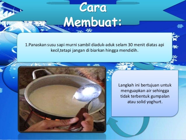 Biologi Cara Membuat Yoghurt Alami