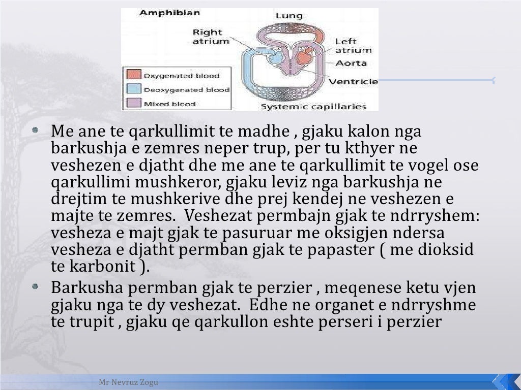 Biologji