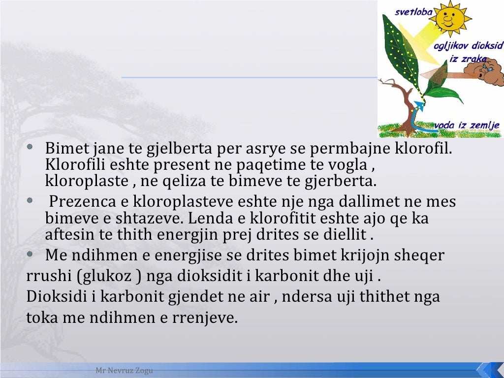 Biologji