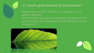 Biologji tema fotosinteza