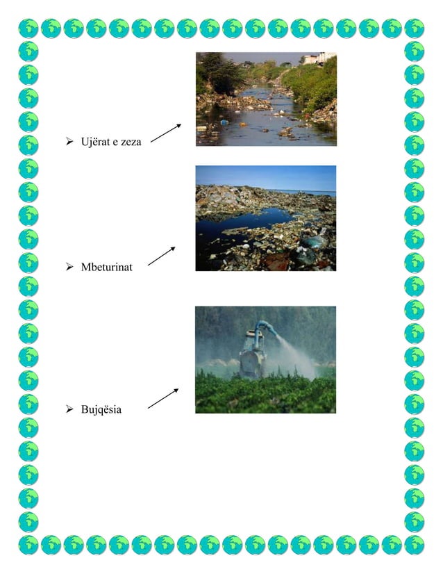 Ndotja E Mjedisit Dhe Ndikimi I Saj N Biodiversitet DOCX ndotja-e-mjedisit-dhe-ndikimi-i-saj-n-biodiversitet-docx