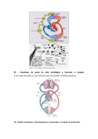 03 - Conceituar, do ponto de vista morfológico e funcional, o coração. 
É um órgão muscular oco que funciona como uma bomba contrátil-propulsora. 
04 - Definir anatômica e funcionalmente o pericárdio e cavidade do pericárdio. 
 