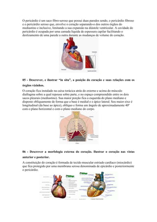 O pericárdio é um saco fibro-seroso que possui duas paredes sendo, o pericárdio fibroso 
e o pericárdio seroso que, envolve o coração separando-o dos outros órgãos do 
mediastino e inclusive, limitando a sua expansão na diástole ventricular. A cavidade do 
pericárdio é ocupada por uma camada líquida de espessura capilar facilitando o 
deslizamento de uma parede a outra durante as mudanças de volume do coração. 
05 - Descrever, e ilustrar “in situ”, a posição do coração e suas relações com os 
órgãos vizinhos. 
O coração fica instalado na caixa torácica atrás do externo e acima do músculo 
diafragma sobre a qual repousa sobre parte, e no espaço compreendido entre os dois 
sacos pleurais (mediastino). Sua maior porção fica a esquerda do plano mediano e 
disposto obliquamente de forma que a base é medial e o ápice lateral. Seu maior eixo é 
longitudinal (da base ao ápice), oblíquo e forma um ângulo de aproximadamente 40º 
com o plano horizontal e com o plano mediano do corpo. 
06 - Descrever a morfologia externa do coração. Ilustrar o coração nas vistas 
anterior e posterior. 
A constituição do coração é formada de tecido muscular estriado cardíaco (miocárdio) 
que fica protegido por uma membrana serosa denominada de epicárdio e posteriormente 
o pericárdio. 
 