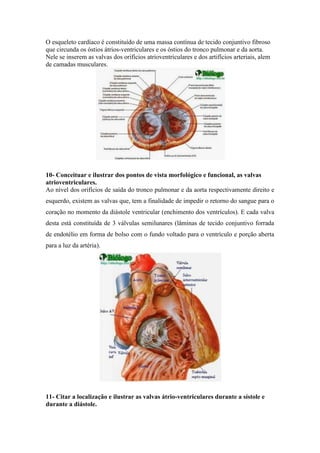 O esqueleto cardíaco é constituído de uma massa contínua de tecido conjuntivo fibroso 
que circunda os óstios átrios-ventriculares e os óstios do tronco pulmonar e da aorta. 
Nele se inserem as valvas dos orifícios atrioventriculares e dos artifícios arteriais, alem 
de camadas musculares. 
10- Conceituar e ilustrar dos pontos de vista morfológico e funcional, as valvas 
atrioventriculares. 
Ao nível dos orifícios de saída do tronco pulmonar e da aorta respectivamente direito e 
esquerdo, existem as valvas que, tem a finalidade de impedir o retorno do sangue para o 
coração no momento da diástole ventricular (enchimento dos ventrículos). E cada valva 
desta está constituída de 3 válvulas semilunares (lâminas de tecido conjuntivo forrada 
de endotélio em forma de bolso com o fundo voltado para o ventrículo e porção aberta 
para a luz da artéria). 
11- Citar a localização e ilustrar as valvas átrio-ventriculares durante a sístole e 
durante a diástole. 
 