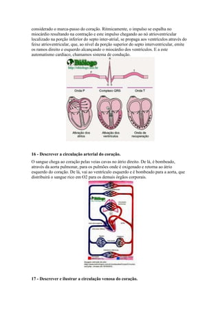 considerado o marca-passo do coração. Ritmicamente, o impulso se espalha no 
miocárdio resultando na contração e este impulso chegando ao nó atrioventricular 
localizado na porção inferior do septo inter-atrial, se propaga aos ventrículos através do 
feixe atrioventricular, que, ao nível da porção superior do septo interventricular, emite 
os ramos direito e esquerdo alcançando o miocárdio dos ventrículos. E a este 
automatismo cardíaco, chamamos sistema de condução. 
16 - Descrever a circulação arterial do coração. 
O sangue chega ao coração pelas veias cavas no átrio direito. De lá, é bombeado, 
através da aorta pulmonar, para os pulmões onde é oxigenado e retorna ao átrio 
esquerdo do coração. De lá, vai ao ventrículo esquerdo e é bombeado para a aorta, que 
distribuirá o sangue rico em O2 para os demais órgãos corporais. 
17 - Descrever e ilustrar a circulação venosa do coração. 
 