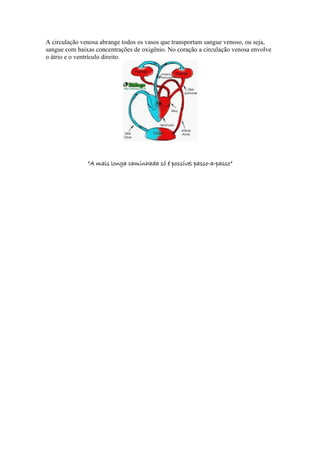 A circulação venosa abrange todos os vasos que transportam sangue venoso, ou seja, 
sangue com baixas concentrações de oxigênio. No coração a circulação venosa envolve 
o átrio e o ventrículo direito. 
“A mais longa caminhada só é possível passo-a-passo” 
