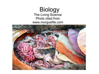 Biology The Living Science Photo cited from www.morguefile.com 