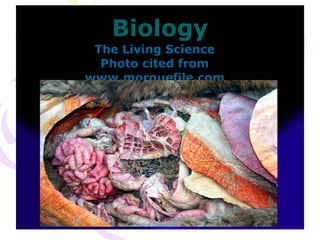 Biology The Living Science Photo cited from www.morguefile.com 