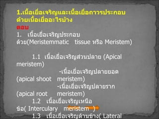 1. เนื้อเยื่อเจริญและเนื้อเยื่อถาวรประกอบด้วยเนื้อเยื่ออะไรบ้าง ตอบ 1.   เนื้อเยื่อเจริญประกอบด้วย ( Meristemmatic  tissue   หรือ  Meristem ) 1.1  เนื้อเยื่อเจริญส่วนปลาย  ( Apical  meristem) - เนื้อเยื่อเจริญปลายยอด  ( apical shoot   meristem ) - เนื้อเยื่อเจริญปลายราก  ( apical root  meristem) 1.2  เนื้อเยื่อเจริญเหนือข้อ (  Interculary  meristem   ) 1.3  เนื้อเยื่อเจริญด้านข้าง (  Lateral  meristem   ) - แคมเบียมท่อลำเลียง  ( Vacular  cambium ) -Cork  Cambium 
