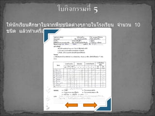 ให้นักเรียนศึกษาใบจากพืชชนิดต่างๆภายในโรงเรียน  จำนวน  10   ชนิด  แล้วทำเครื่องหมาย  ลงในตาราง 