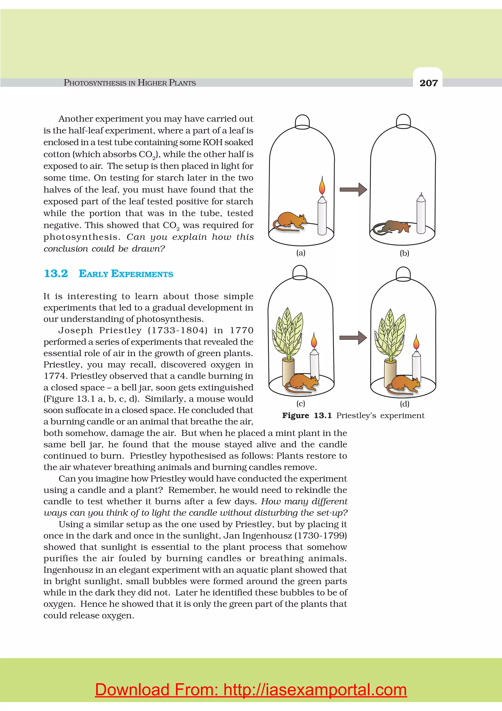 PHOTOSYNTHESIS IN HIGHER PLANTS 207
Another experiment you may have carried out
is the half-leaf experiment, where a part of a leaf is
enclosed in a test tube containing some KOH soaked
cotton (which absorbs CO2
), while the other half is
exposed to air. The setup is then placed in light for
some time. On testing for starch later in the two
halves of the leaf, you must have found that the
exposed part of the leaf tested positive for starch
while the portion that was in the tube, tested
negative. This showed that CO2
was required for
photosynthesis. Can you explain how this
conclusion could be drawn?
13.2 EARLY EXPERIMENTS
It is interesting to learn about those simple
experiments that led to a gradual development in
our understanding of photosynthesis.
Joseph Priestley (1733-1804) in 1770
performed a series of experiments that revealed the
essential role of air in the growth of green plants.
Priestley, you may recall, discovered oxygen in
1774. Priestley observed that a candle burning in
a closed space – a bell jar, soon gets extinguished
(Figure 13.1 a, b, c, d). Similarly, a mouse would
soon suffocate in a closed space. He concluded that
a burning candle or an animal that breathe the air,
both somehow, damage the air. But when he placed a mint plant in the
same bell jar, he found that the mouse stayed alive and the candle
continued to burn. Priestley hypothesised as follows: Plants restore to
the air whatever breathing animals and burning candles remove.
Can you imagine how Priestley would have conducted the experiment
using a candle and a plant? Remember, he would need to rekindle the
candle to test whether it burns after a few days. How many different
ways can you think of to light the candle without disturbing the set-up?
Using a similar setup as the one used by Priestley, but by placing it
once in the dark and once in the sunlight, Jan Ingenhousz (1730-1799)
showed that sunlight is essential to the plant process that somehow
purifies the air fouled by burning candles or breathing animals.
Ingenhousz in an elegant experiment with an aquatic plant showed that
in bright sunlight, small bubbles were formed around the green parts
while in the dark they did not. Later he identified these bubbles to be of
oxygen. Hence he showed that it is only the green part of the plants that
could release oxygen.
(a)
(c)
(b)
(d)
Figure 13.1 Priestley’s experiment
Download From: http://iasexamportal.com
 