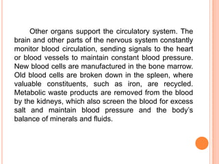 Other organs support the circulatory system. The
brain and other parts of the nervous system constantly
monitor blood circulation, sending signals to the heart
or blood vessels to maintain constant blood pressure.
New blood cells are manufactured in the bone marrow.
Old blood cells are broken down in the spleen, where
valuable constituents, such as iron, are recycled.
Metabolic waste products are removed from the blood
by the kidneys, which also screen the blood for excess
salt and maintain blood pressure and the body’s
balance of minerals and fluids.
 