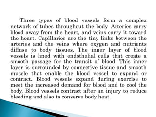 Three types of blood vessels form a complex
network of tubes throughout the body. Arteries carry
blood away from the heart, and veins carry it toward
the heart. Capillaries are the tiny links between the
arteries and the veins where oxygen and nutrients
diffuse to body tissues. The inner layer of blood
vessels is lined with endothelial cells that create a
smooth passage for the transit of blood. This inner
layer is surrounded by connective tissue and smooth
muscle that enable the blood vessel to expand or
contract. Blood vessels expand during exercise to
meet the increased demand for blood and to cool the
body. Blood vessels contract after an injury to reduce
bleeding and also to conserve body heat.
 