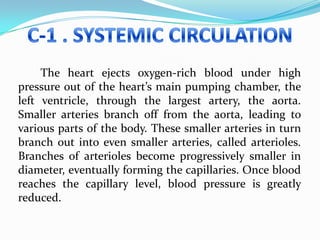 The heart ejects oxygen-rich blood under high
pressure out of the heart’s main pumping chamber, the
left ventricle, through the largest artery, the aorta.
Smaller arteries branch off from the aorta, leading to
various parts of the body. These smaller arteries in turn
branch out into even smaller arteries, called arterioles.
Branches of arterioles become progressively smaller in
diameter, eventually forming the capillaries. Once blood
reaches the capillary level, blood pressure is greatly
reduced.
 