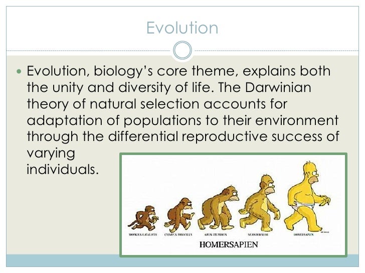 Diversity essay evolution life selected